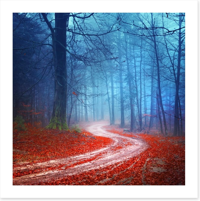 Magical forest road