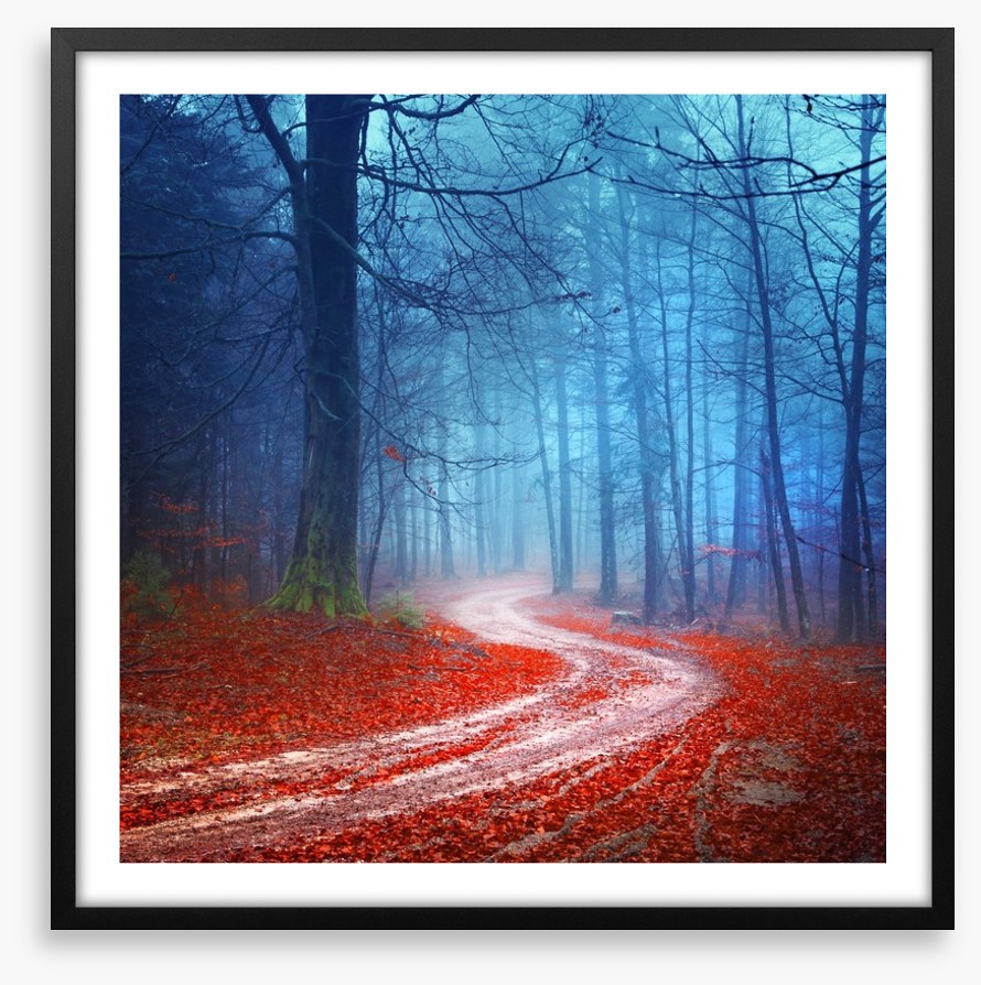 Magical forest road