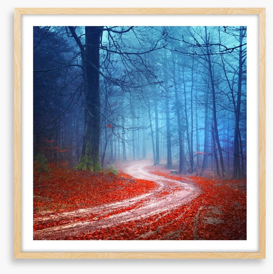 Magical forest road