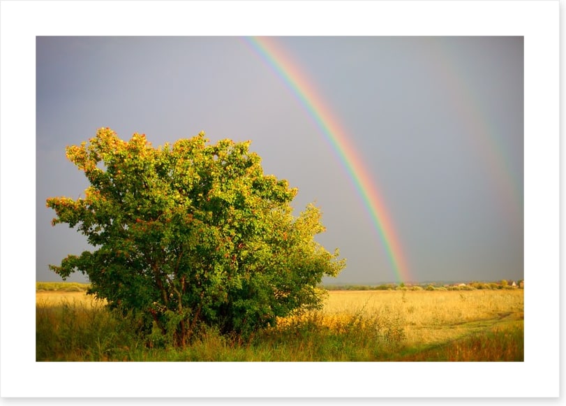 Rainbows