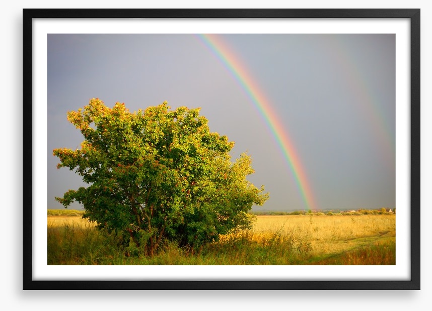 Rainbows