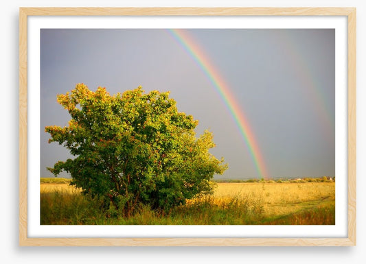 Rainbows