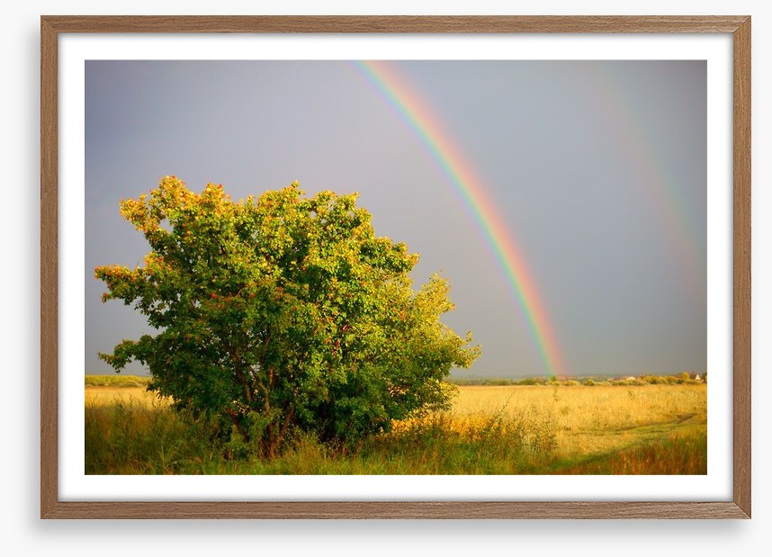 Rainbows