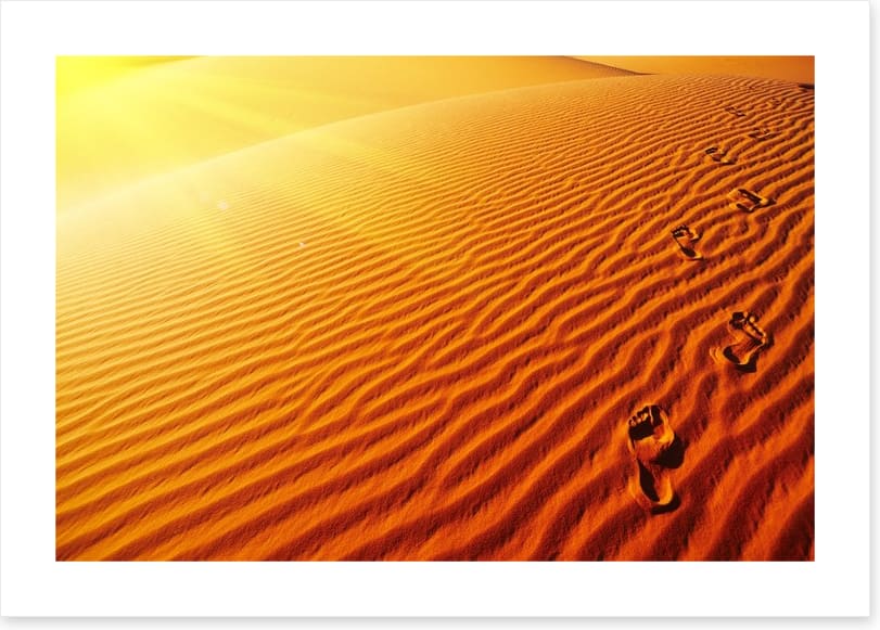 Desert