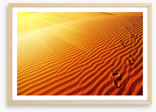 Desert