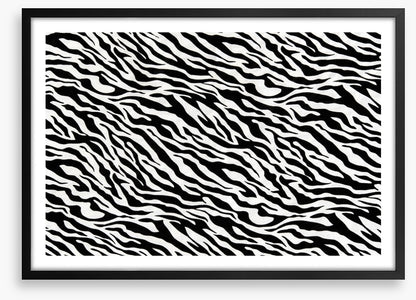 Animal Print
