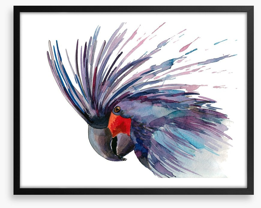 Cockatoo splash