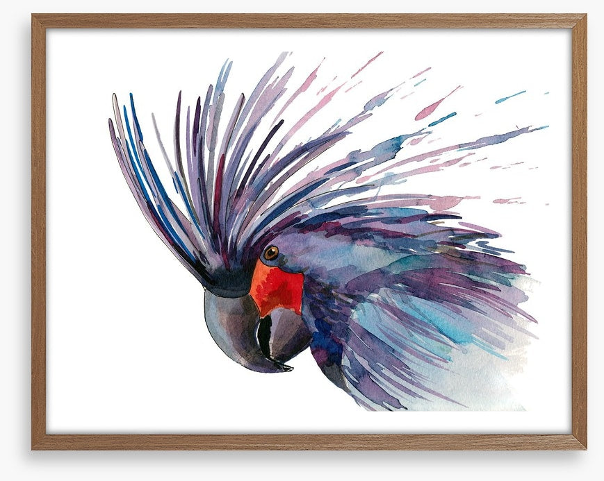 Cockatoo splash