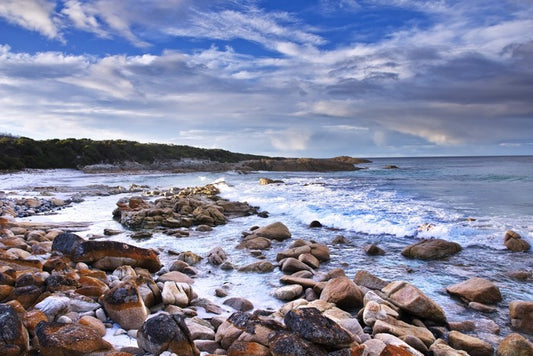 Rugged Tasmanian coast