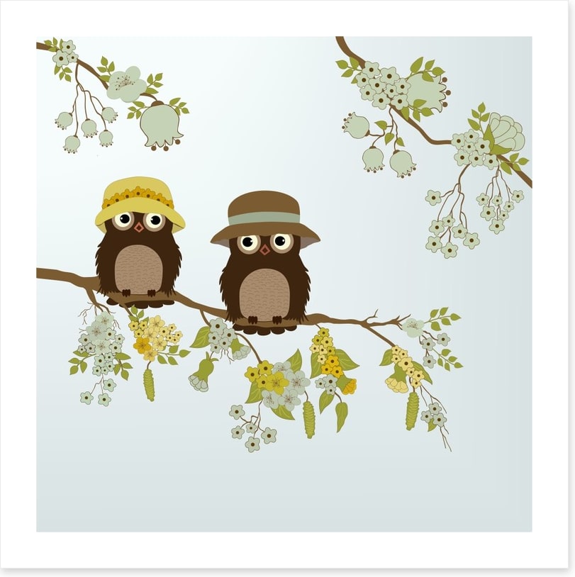 Little old owls