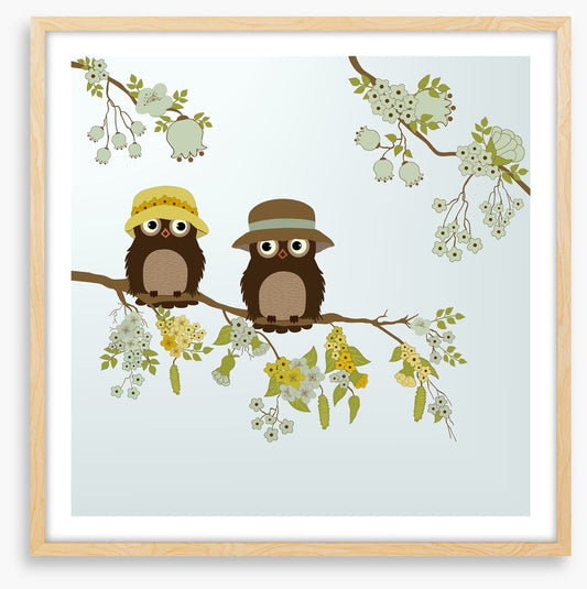 Little old owls
