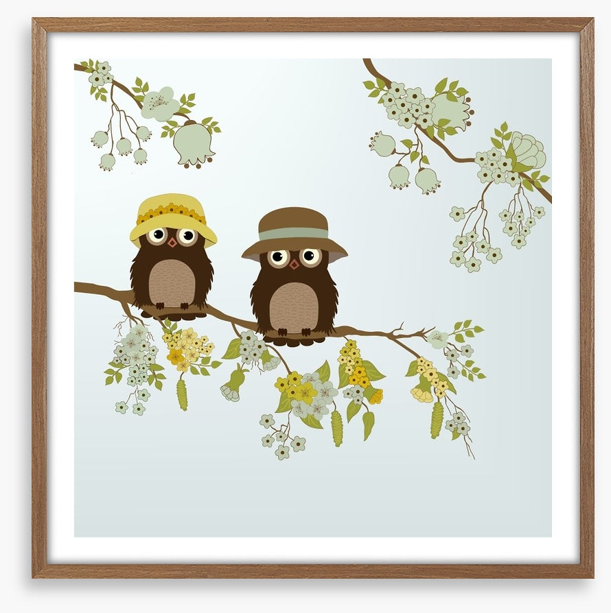 Little old owls