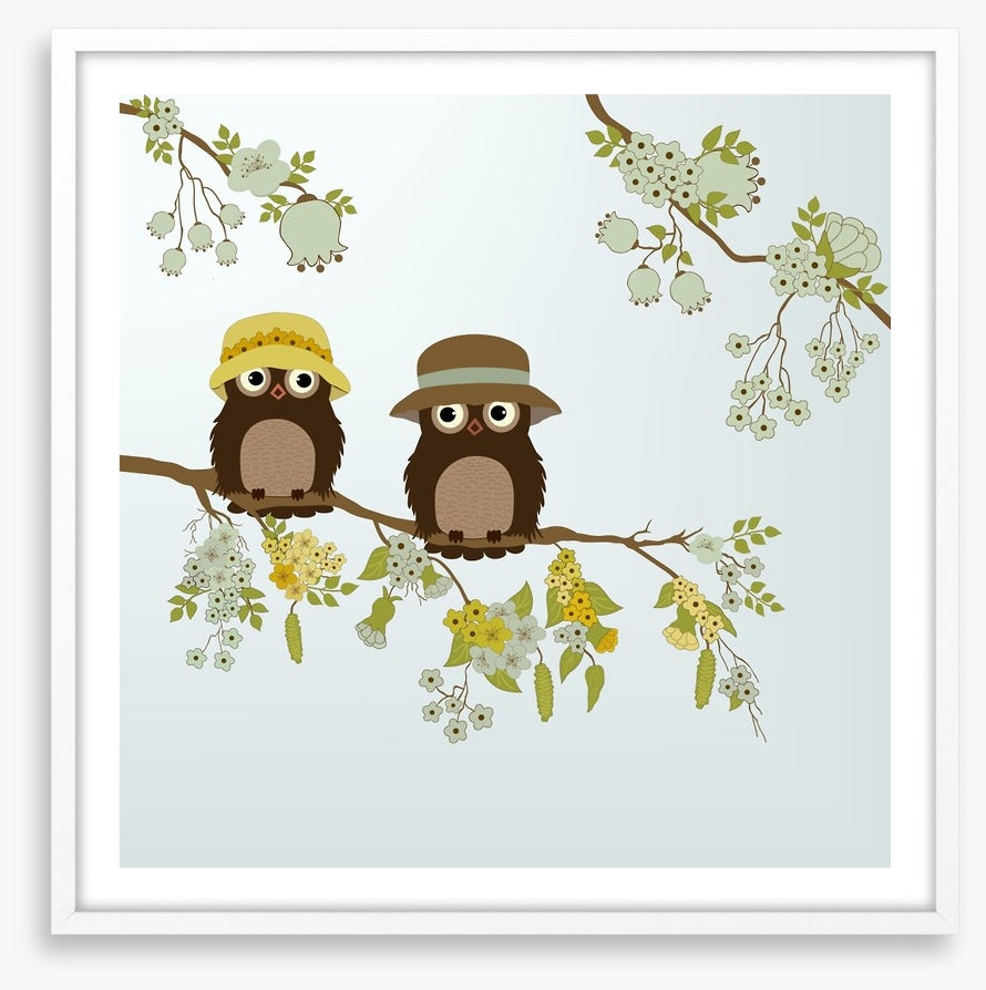 Little old owls