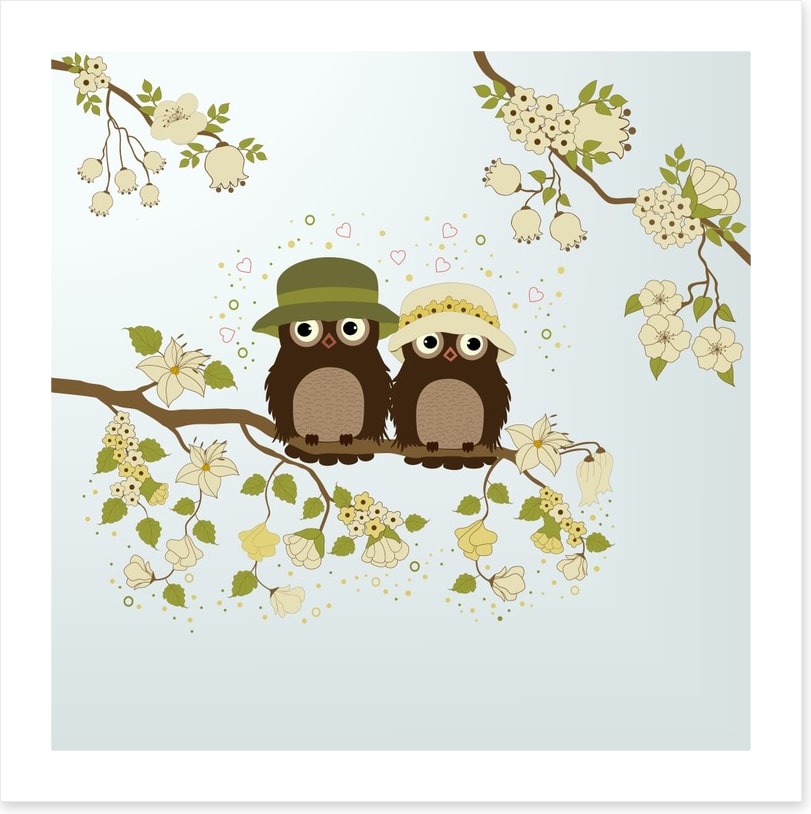 Owls