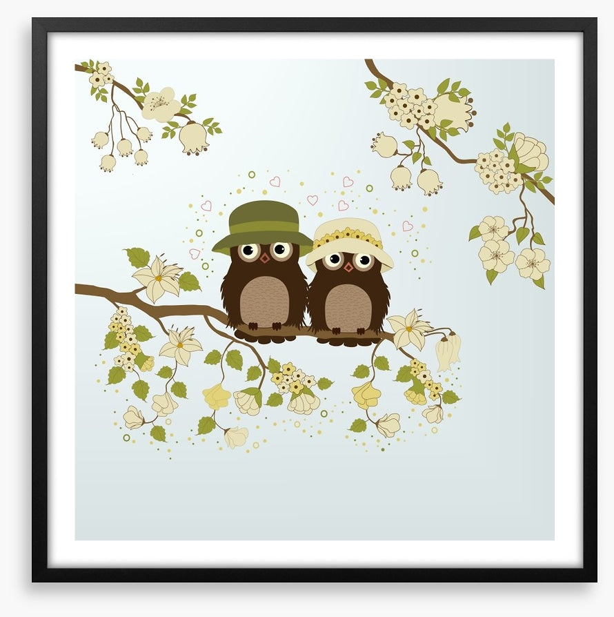 Owls