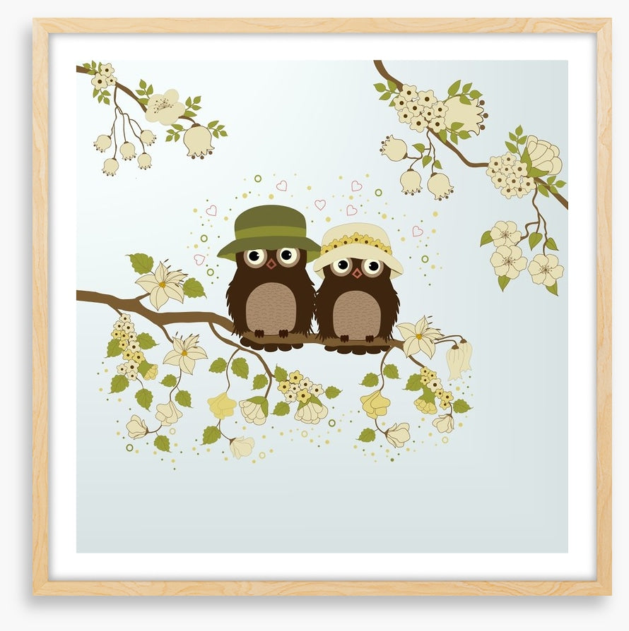 Owls