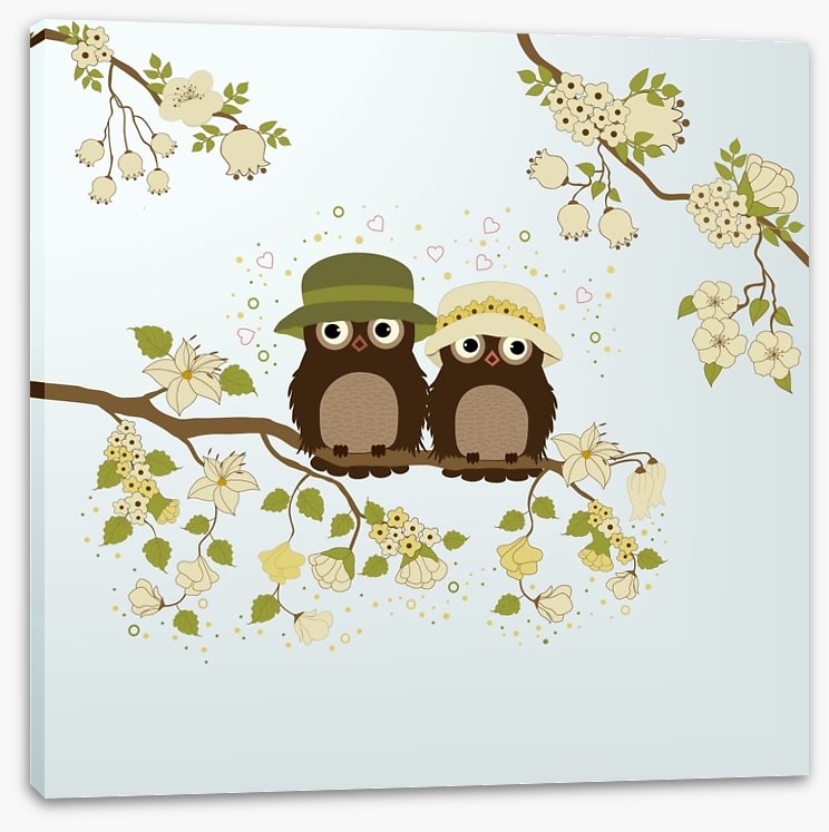Owls