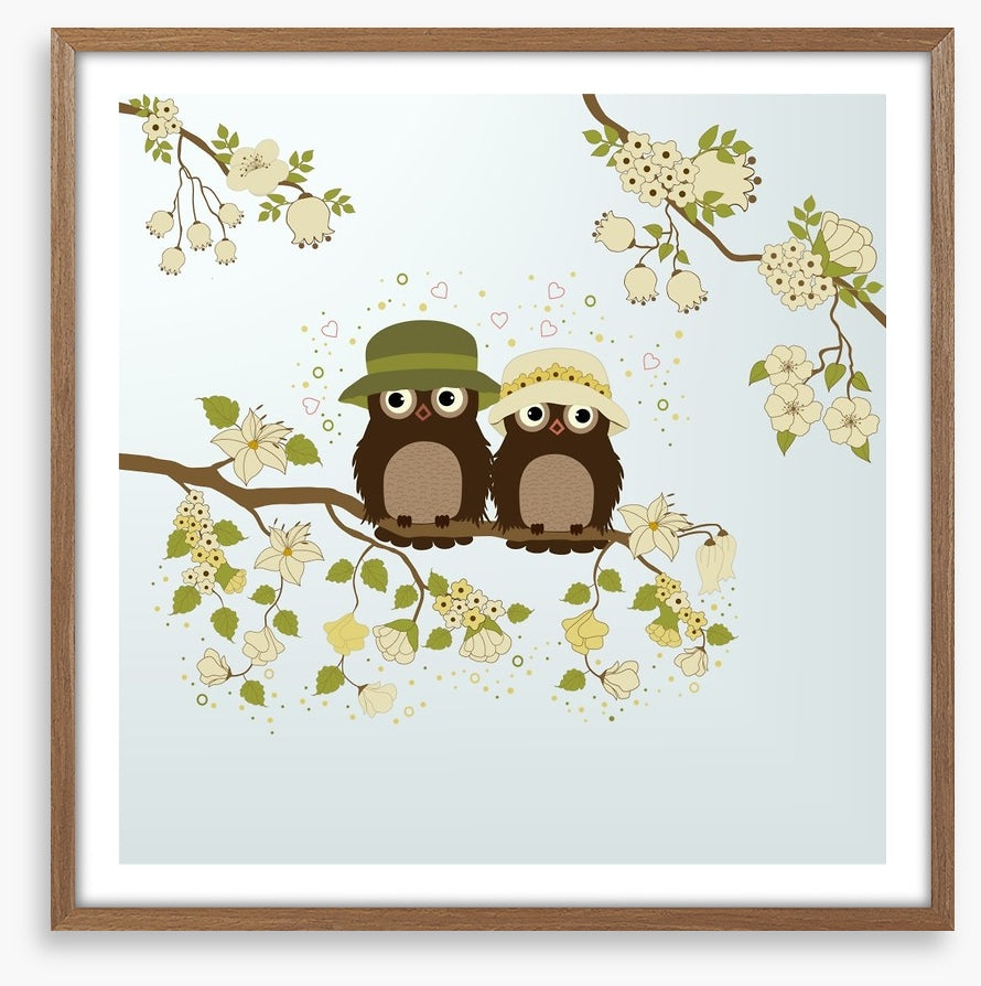 Owls