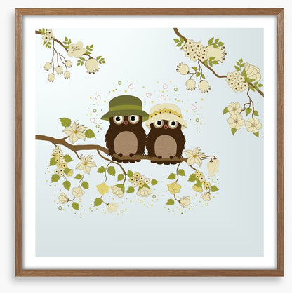 Owls