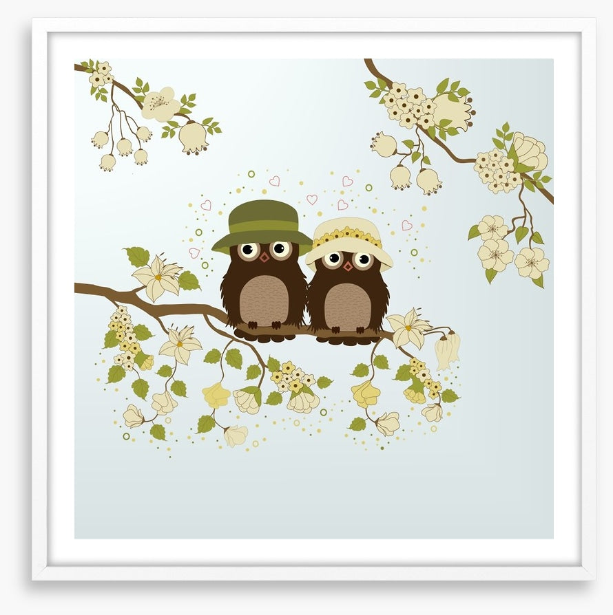 Owls