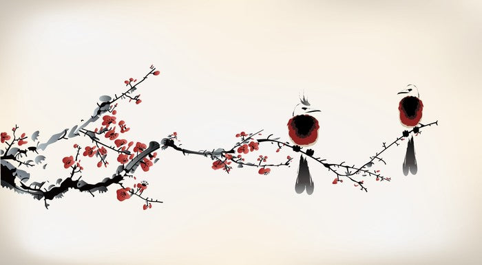 Tiny birds
