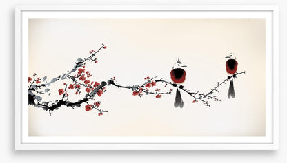 Tiny birds