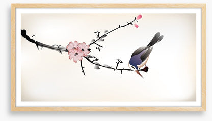 Pink blossom bird