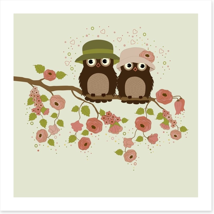 Old owls forever