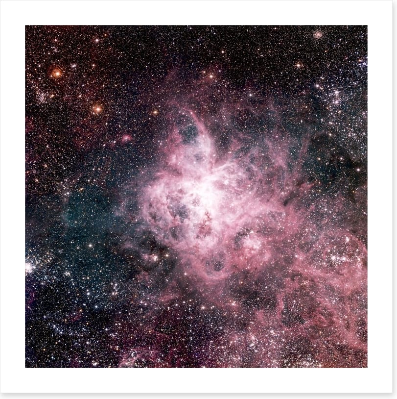 The tarantula nebula