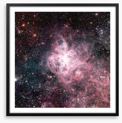 The tarantula nebula