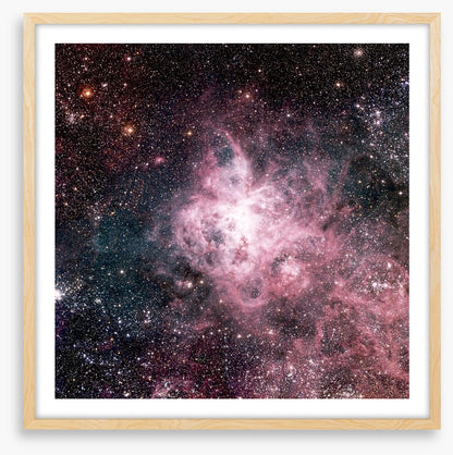 The tarantula nebula