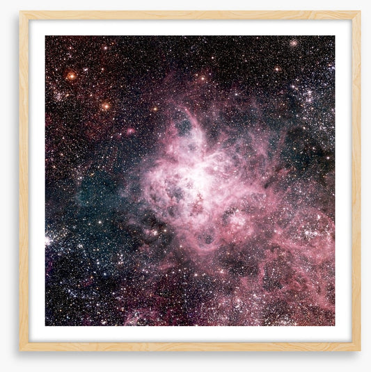 The tarantula nebula