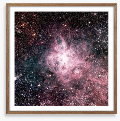 The tarantula nebula