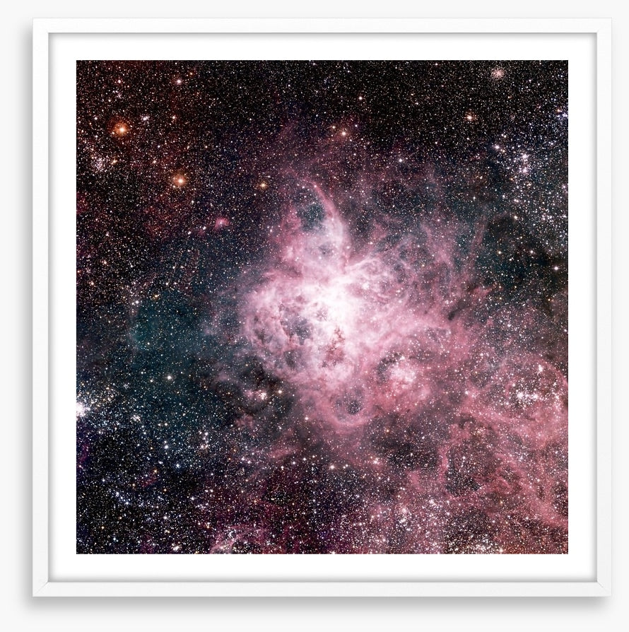 The tarantula nebula