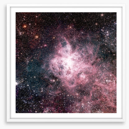 The tarantula nebula