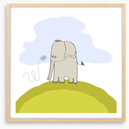 Elephants