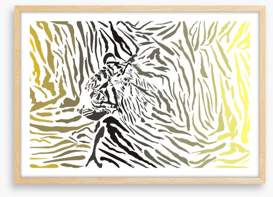 Tiger camouflage