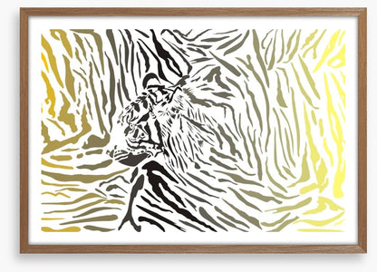 Tiger camouflage