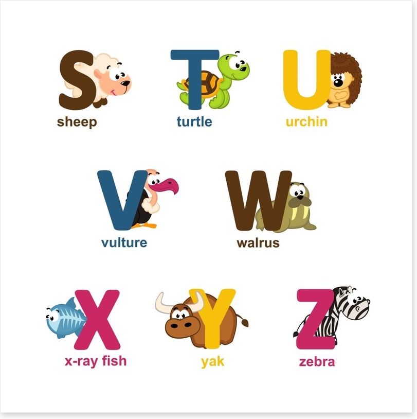 Alphabet animals - S to Z