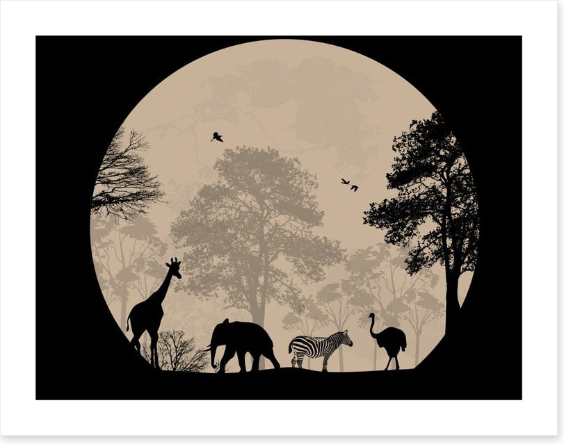 Moonlight safari