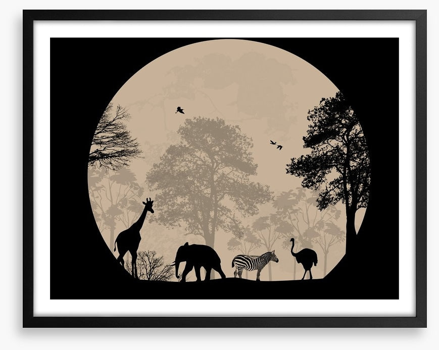 Moonlight safari