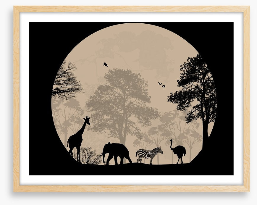 Moonlight safari