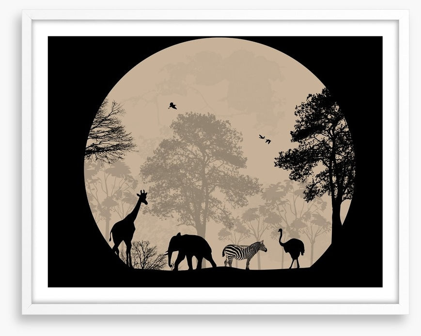 Moonlight safari