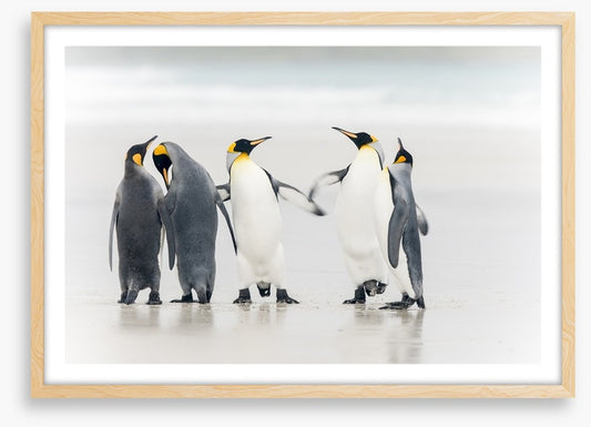 Dance of the penguins