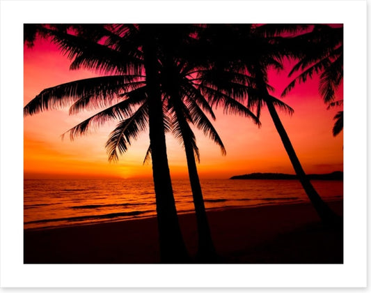 Tropical sunset silhouette
