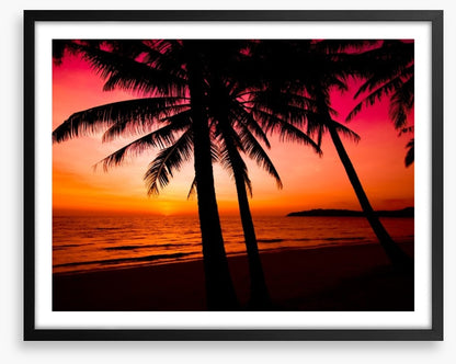 Tropical sunset silhouette