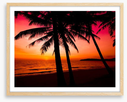 Tropical sunset silhouette