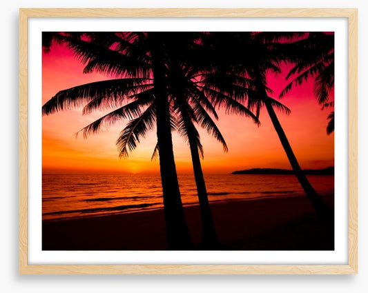 Tropical sunset silhouette