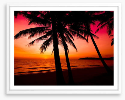 Tropical sunset silhouette