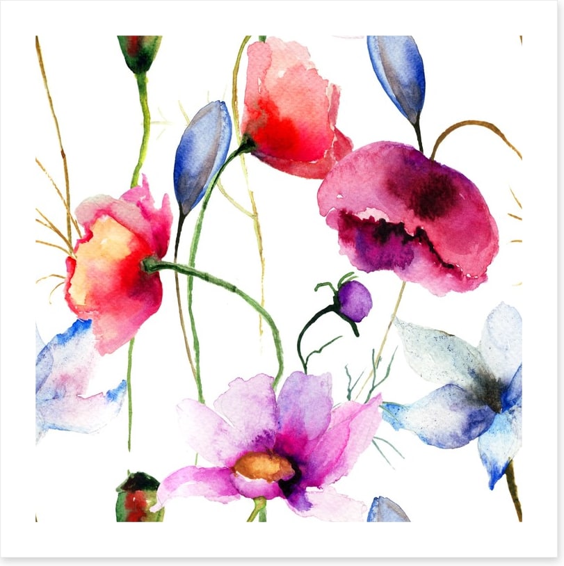 Wild flowers springtime